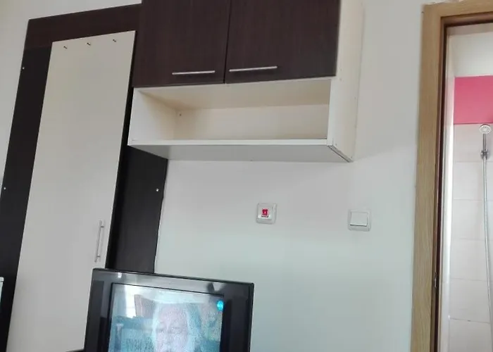 Apartament 1 In Nikea Park Nisipurile de Aur